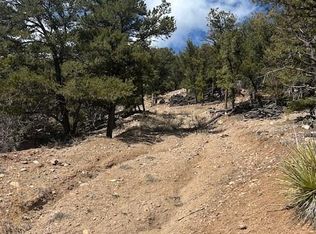 143 Ive Place LOT 338, Cotopaxi, CO 81223