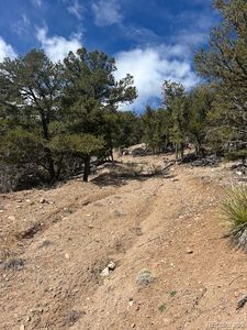 143 Ive Place LOT 338, Cotopaxi, CO, 81223