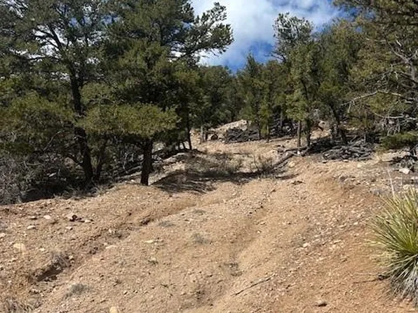 143 Ive Place LOT 338, Cotopaxi, CO 81223