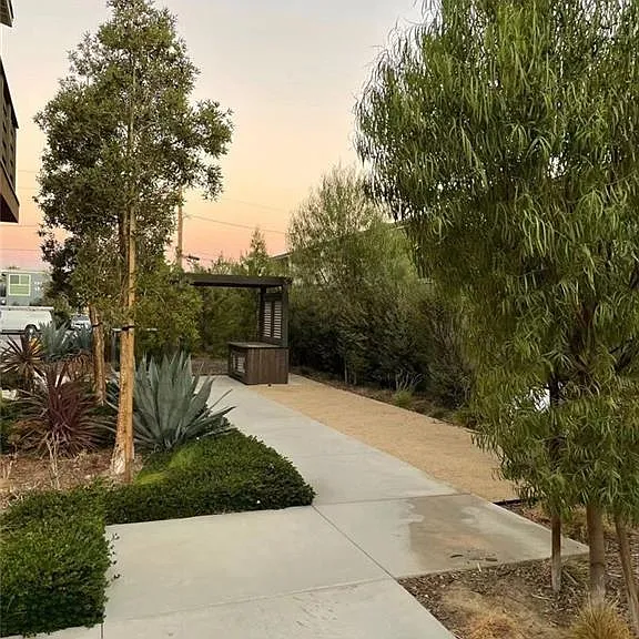 2825 Lily Ln — Photo 35