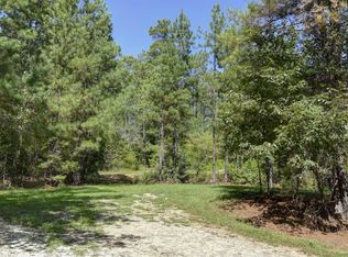 149 Loafers Glory Ct, Chapin, SC 29036