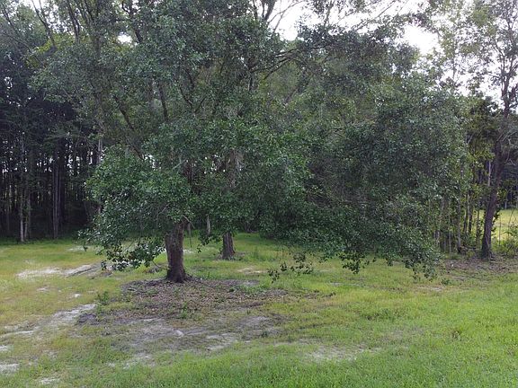 5th image of 660 Bc Estates Ln