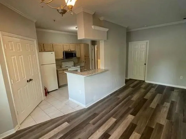 7800 Point Meadows Dr #411 — Photo 5