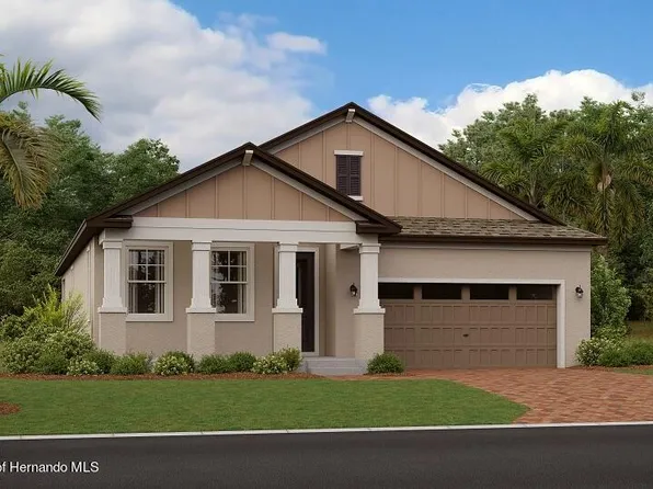 19411 Bristol Wood Pl, Brooksville, FL 34601