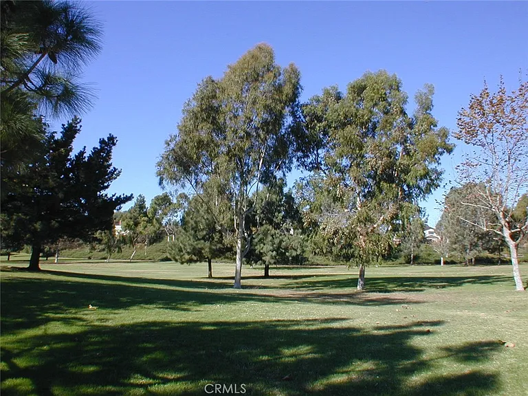 33242 Acapulco Dr — Photo 2