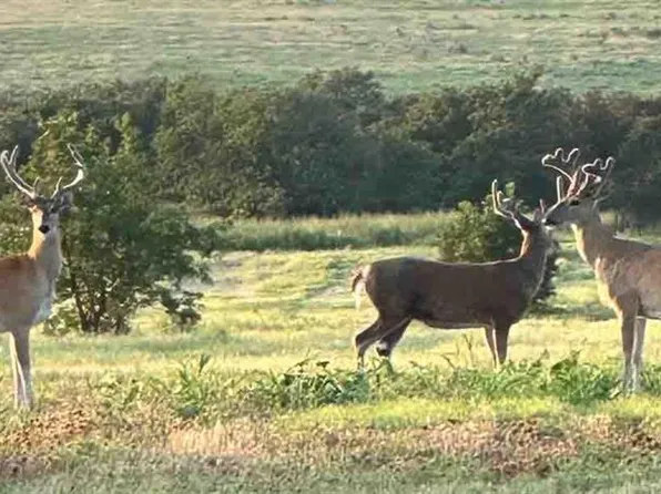 0 State Highway 29, Foster, OK 73434