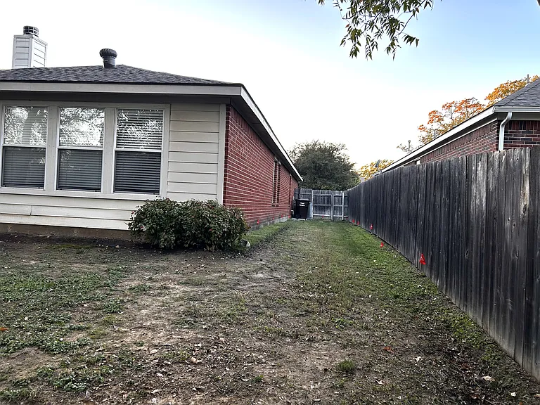 back yard