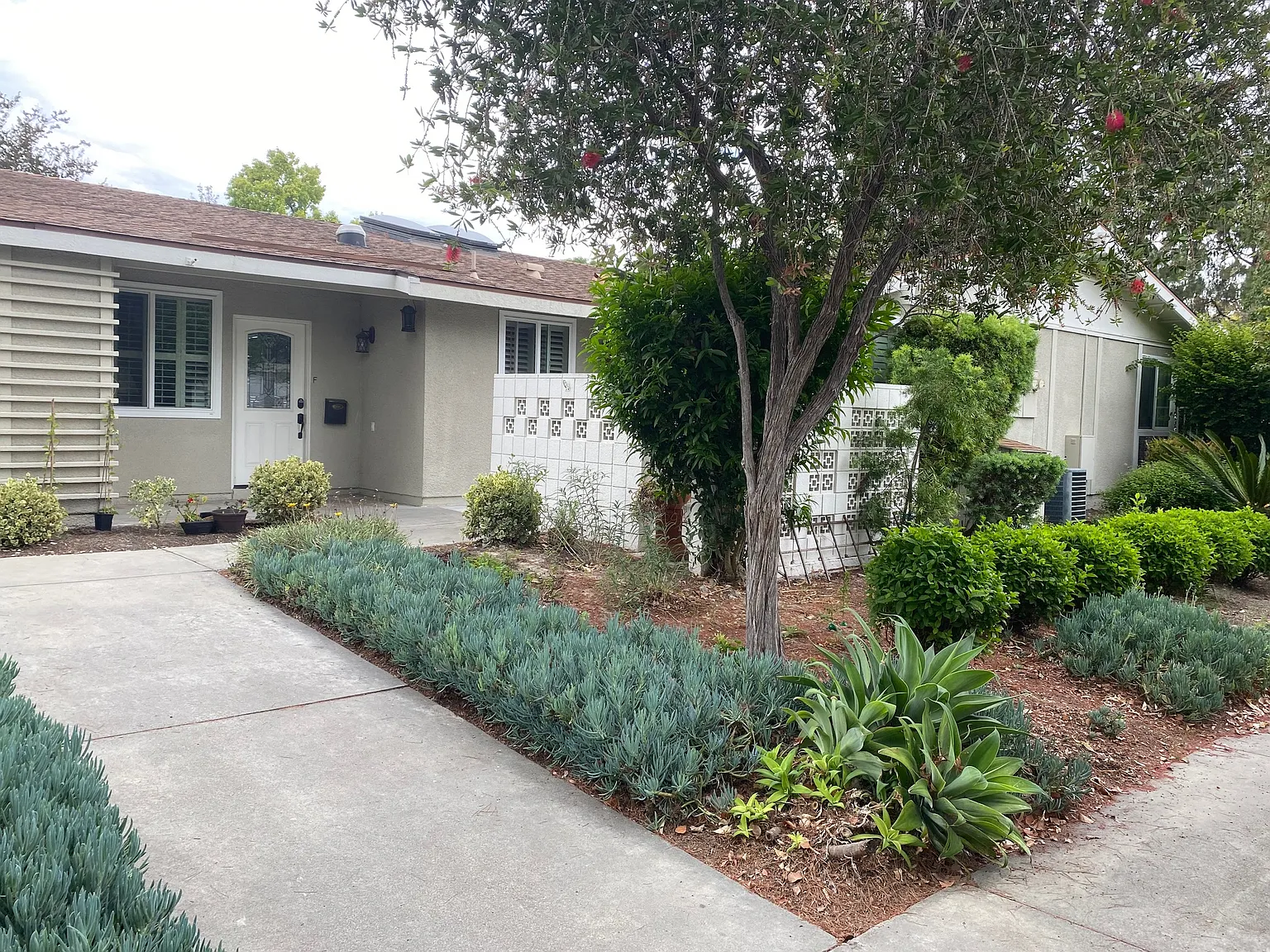 2 bed, 1100 sqft, $2,900 — Photo 3