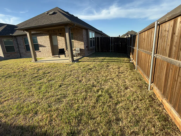 Backyard