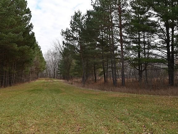 4th image of 28969 Pequot Dr