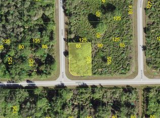 10056 Antler St, Port Charlotte, FL 33981