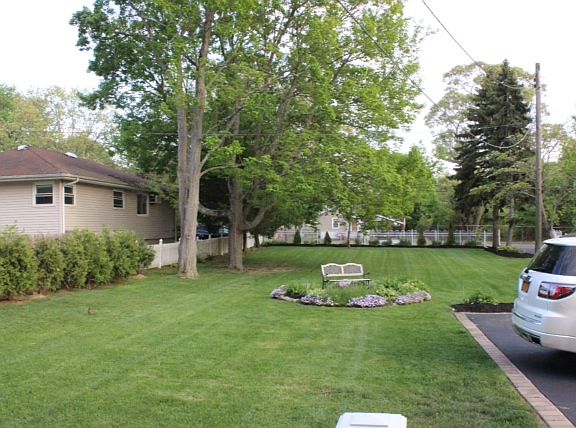 3rd image of 15 Ferndale Ave