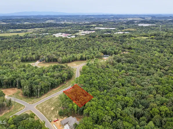 239 Flip Flop Way, Loudon, TN 37774