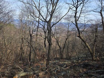 0 Laurel Mountain Rd, Three Springs, PA, 17264