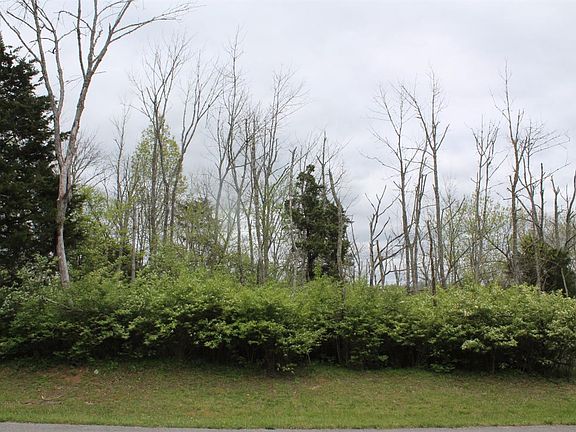 5th image of 132 Forestgate Dr