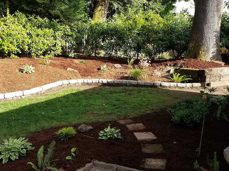 Back yard