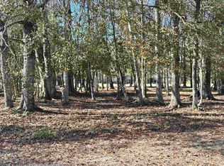 955 Cat Briar Ct, Longs, SC 29568