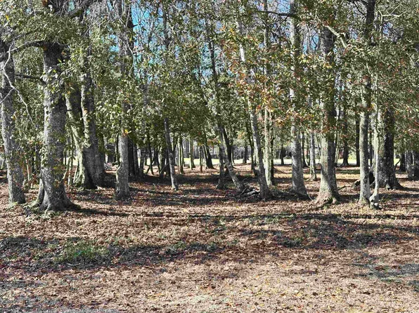 955 Cat Briar Ct., Longs, SC 29568