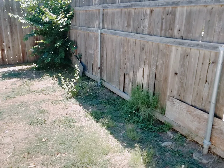 674 Gannet Ct — Photo 4