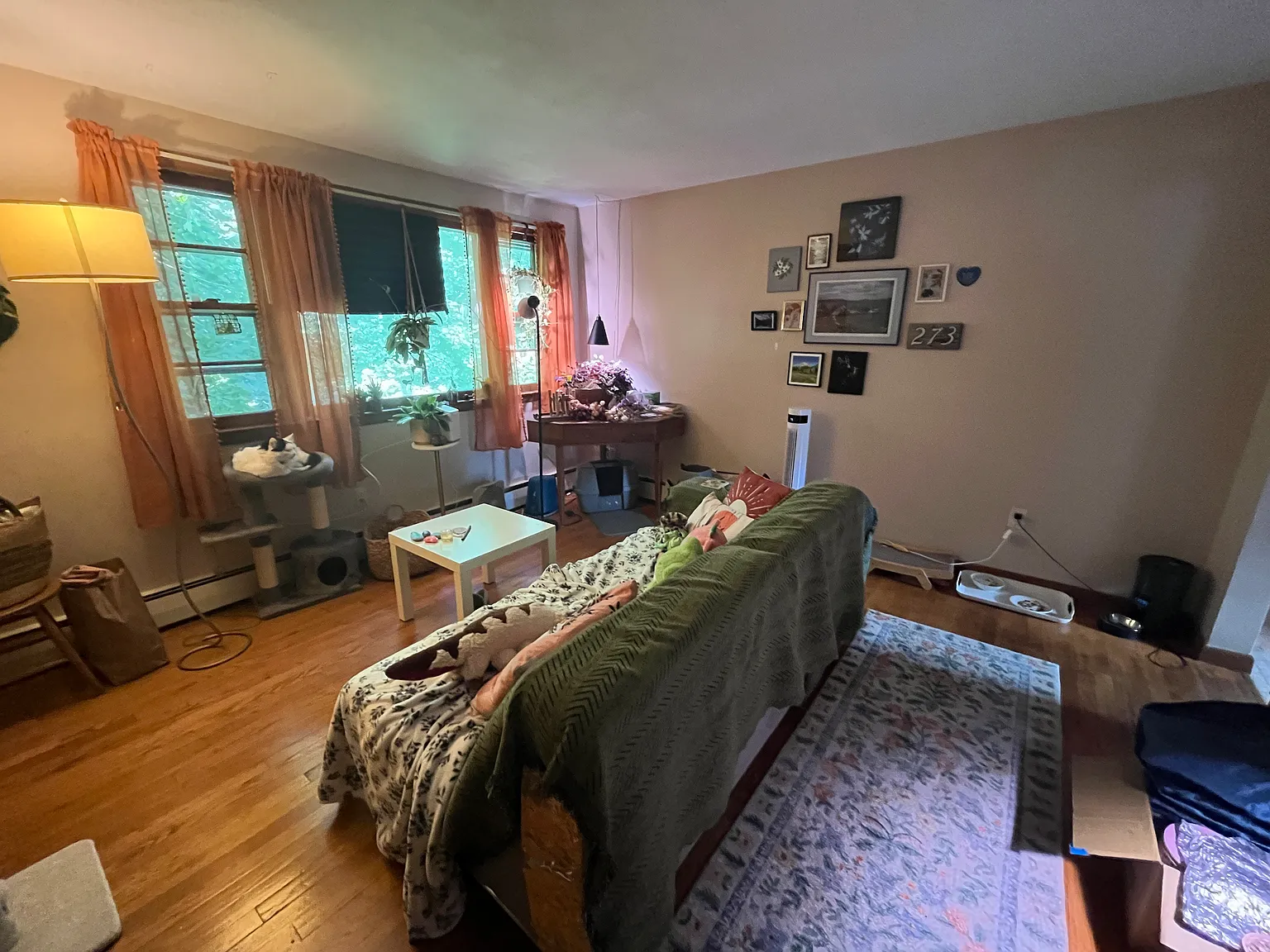1 bed, $1,295 — Photo 3