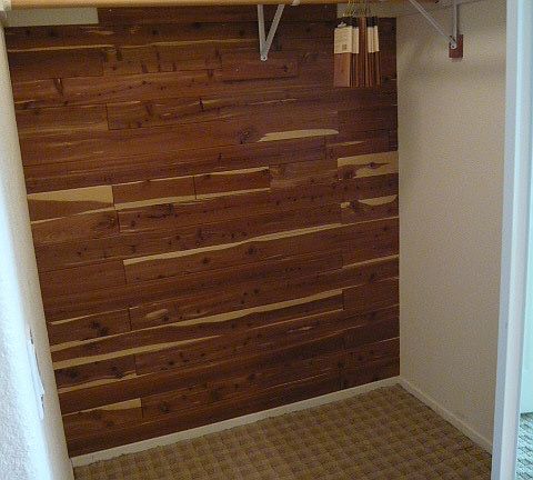 4th image of 13316 Carriage Heights Cir