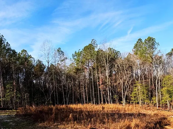 335 Little Lady Trl Lot 10, Zebulon, NC 27597