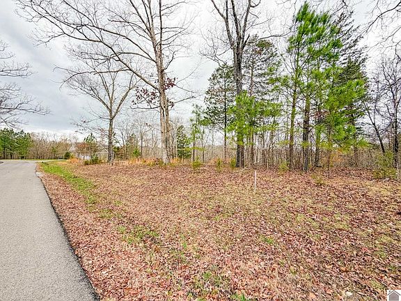 4th image of Haynes Cemetery Rd