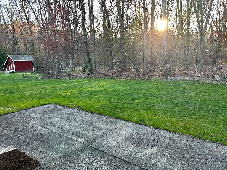 54 Harrington Rd — Photo 19