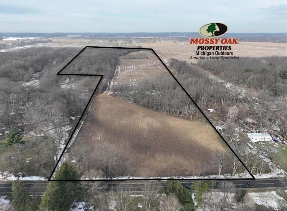 Untitled Presentation 8