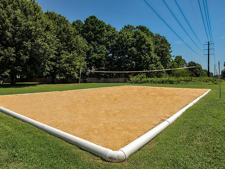 Volleyball court