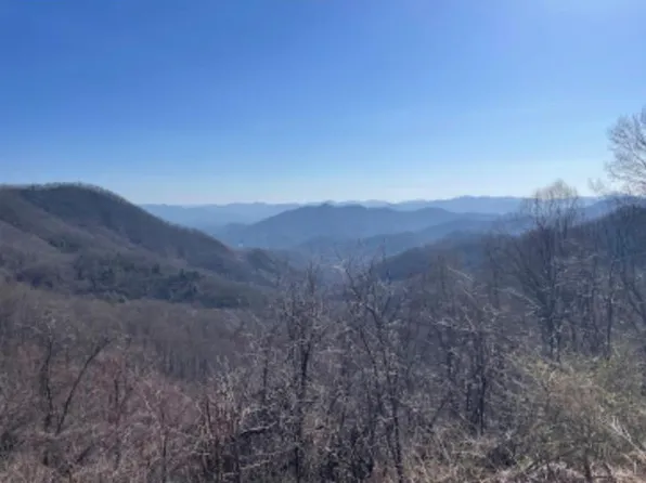 9695 Canada Rd, Tuckasegee, NC 28783