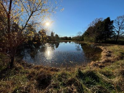 305 Chigger Ridge Rd, Creal Springs, IL, 62922