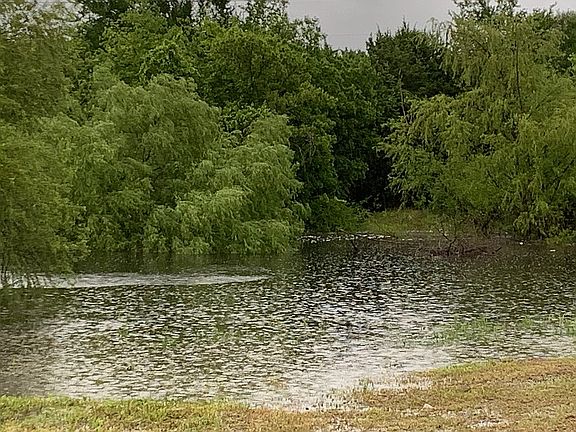 View of tank from back porch