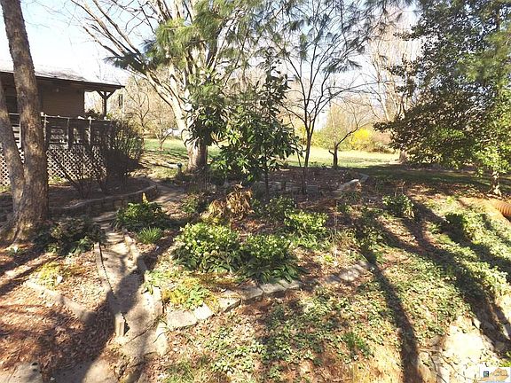 4th image of 225 Wedgewood Dr