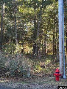 47104 Deer Run Cir LOT 10, Buxton, NC, 27920
