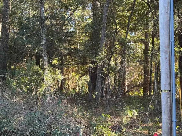 47104 Deer Run Cir Lot 10, Buxton, NC 27920