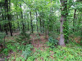 0 Supinlick Ridge Rd, Basye, VA 22810