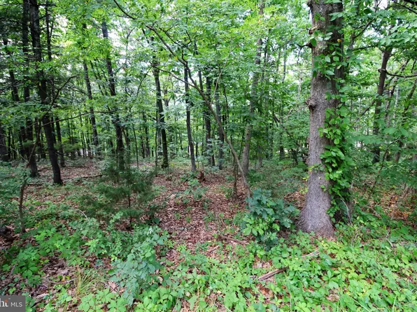 0 Supinlick Ridge Rd, Basye, VA 22810