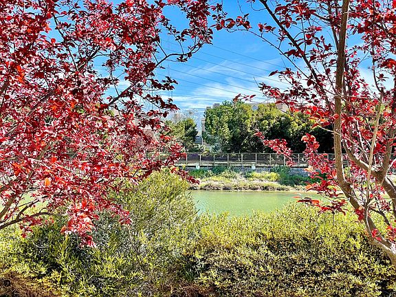 View from patio.