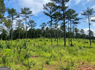 3 Giles Rd, Forsyth, GA 31029