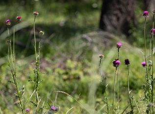 316 Sandalwood Ln LOT 3, Whitefish, MT 59937