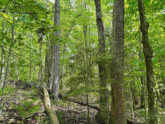 5th image of 0 North Road