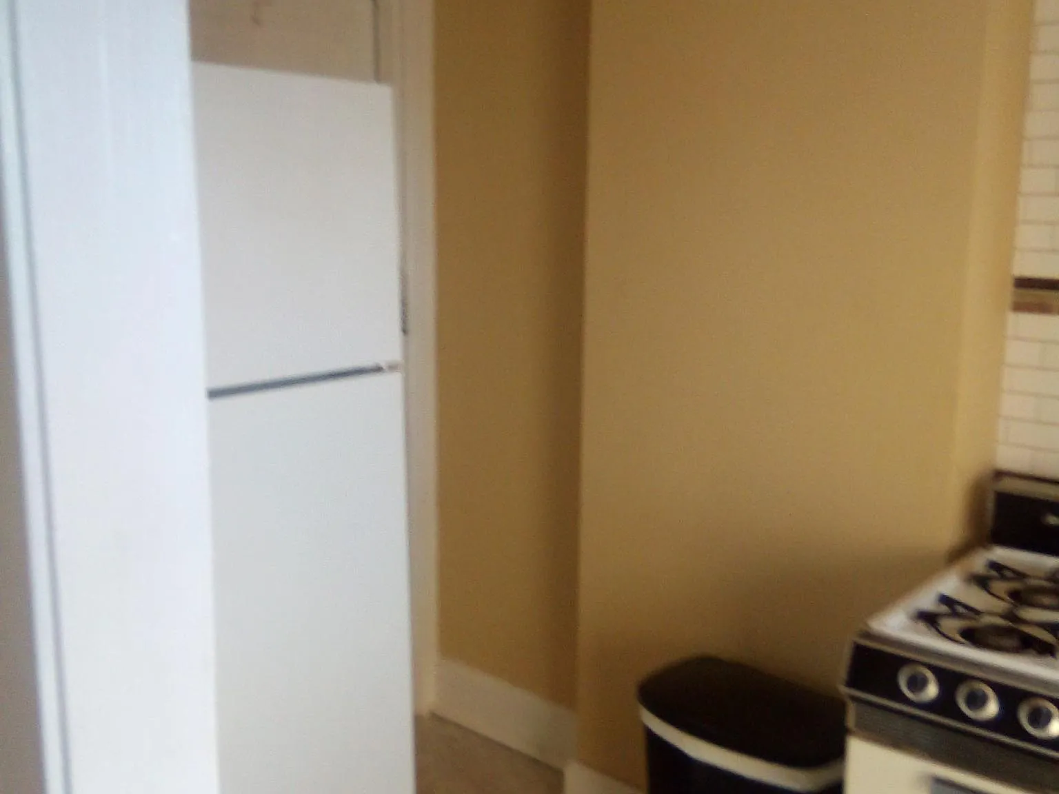 1 bed, 550 sqft, $895 — Photo 2