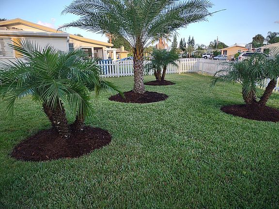 5th image of 53 Palmetto Dr