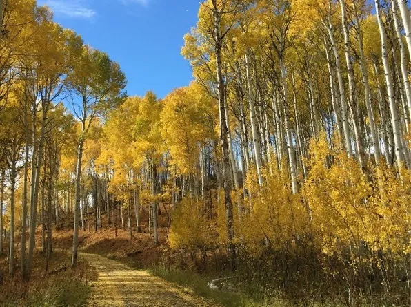 51450 Quaker Mountain Circle, Hayden, CO 81639