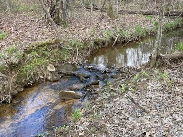 9012 Road 9012, Mentone, AL 35984