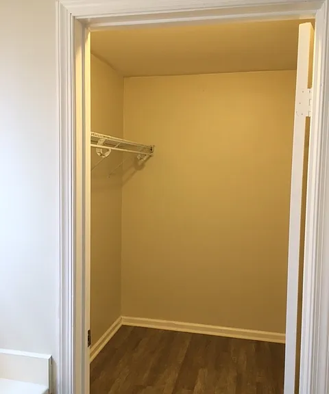 917 Timber Creek Pl — Photo 17