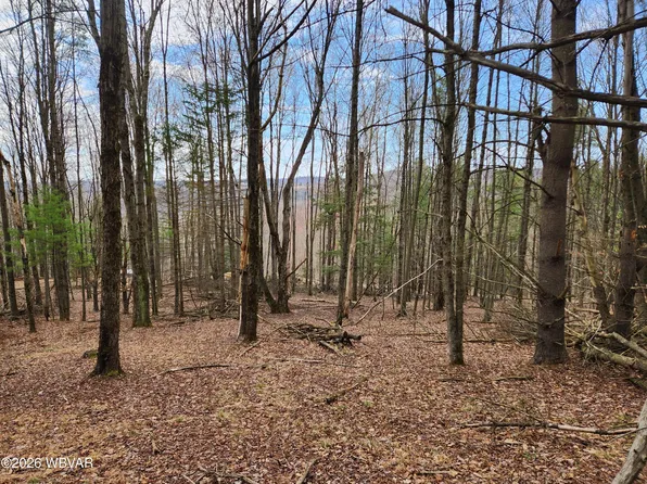 1888 Whiskey Run Rd, Muncy Valley, PA 17758