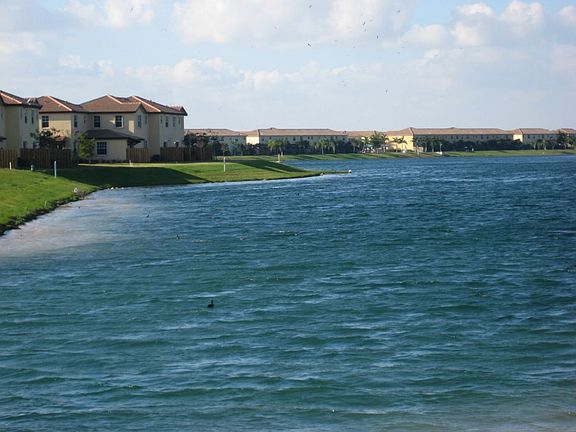Back yard lake view