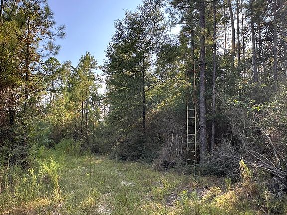 3rd image of B & C New Ebenezer Rd